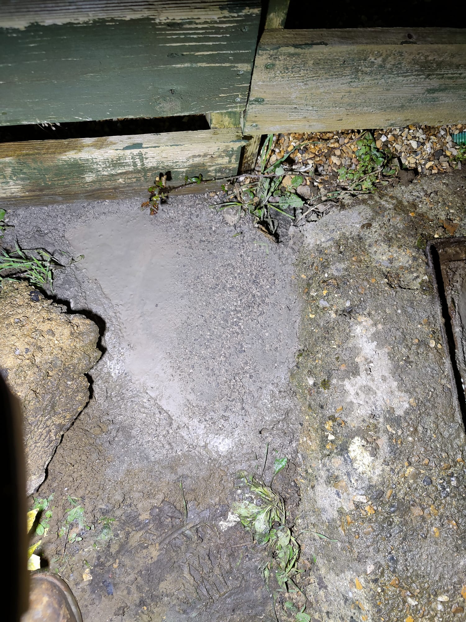Rat Borrow/run after we sealed with rapid set concrete