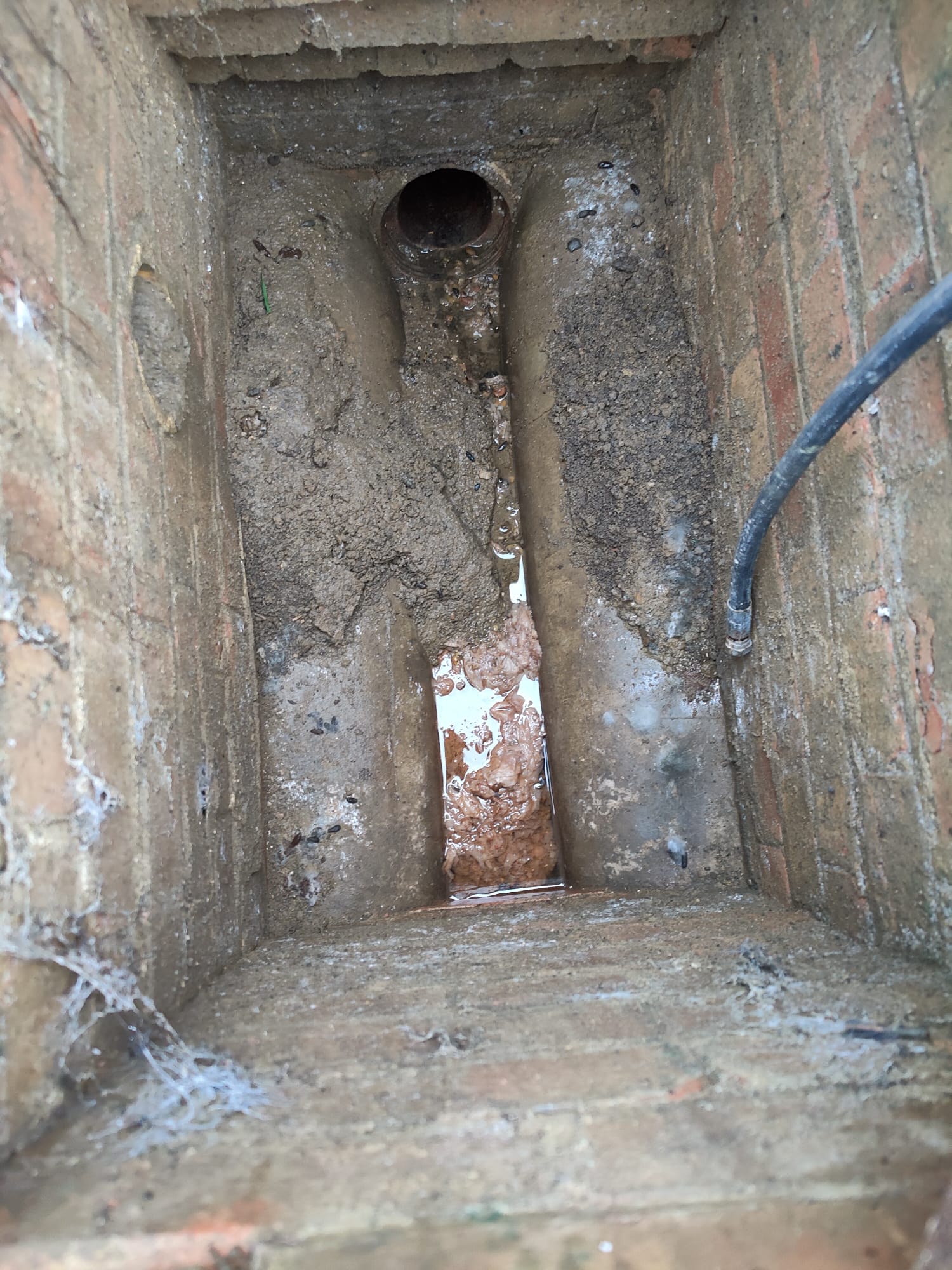 Manhole Drain Full of debris, which have been dragged into the pipe from the rodent activity.